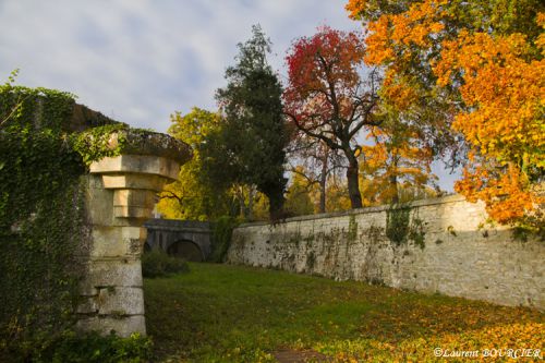 Dans les douves du château