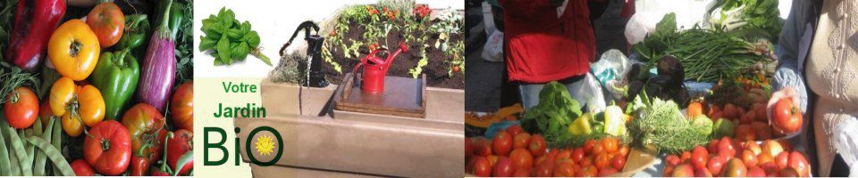 FermeUrbaine Urban Agriculture