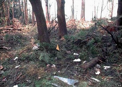 vol9305-vol-93-debris-foret.jpg