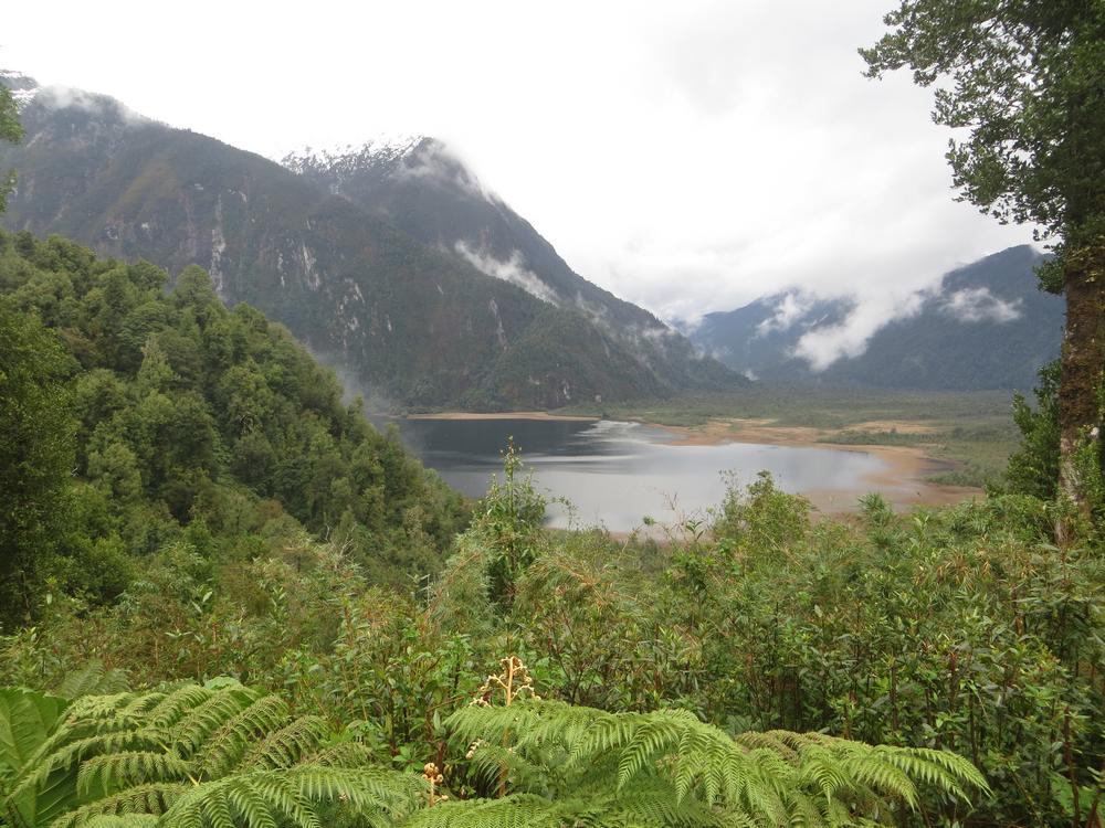 Carretera austral (18).JPG