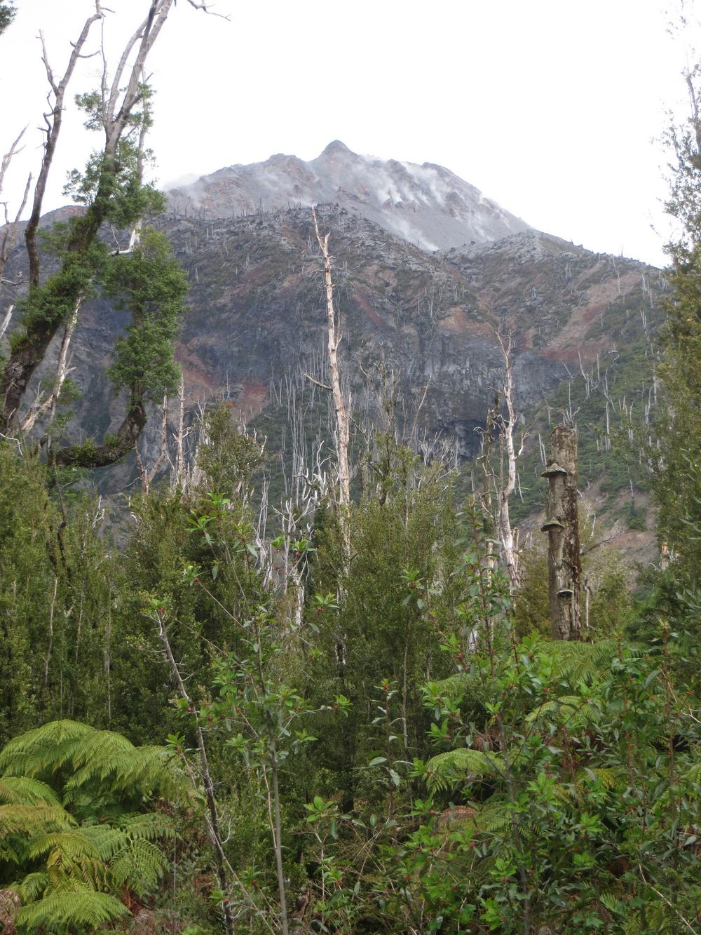 Carretera austral (19).JPG