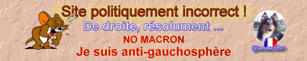 Blog politiquement incorrect !