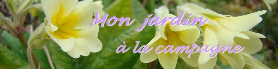 mon-jardin-a-la-campagne.blog4ever.com