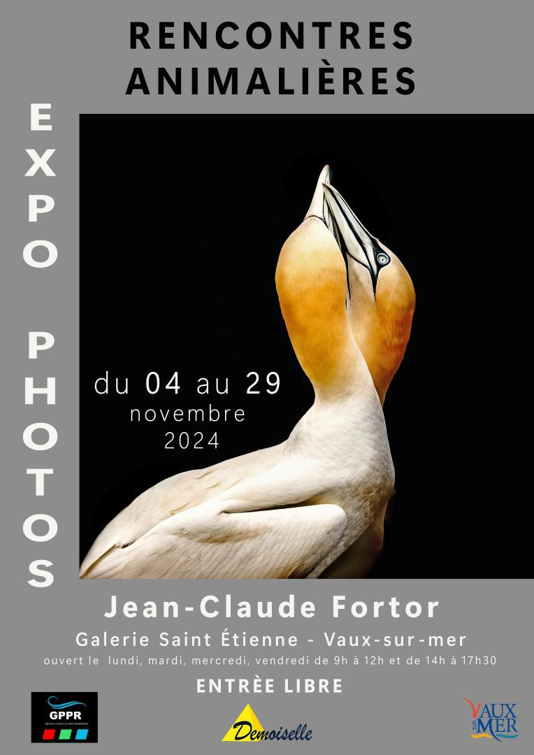 Affiche expo animalière.jpg