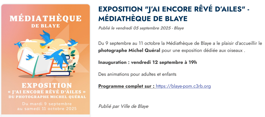 Capture d’écran 2025-09-05 112834.png