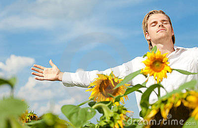 satisfaction-de-tournesol-thumb20762966.jpg