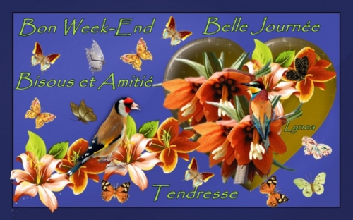 bon-week-end-journee-tendresse-fleurs-img.jpg