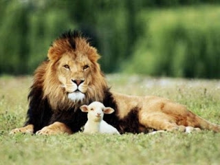 lion-and-the-lamb.jpg