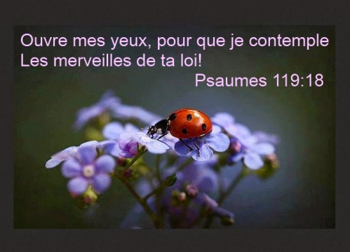 BIBLE_ 39_Psaumes 119_18_ LE BLOG DE VALERIE SHA.jpg