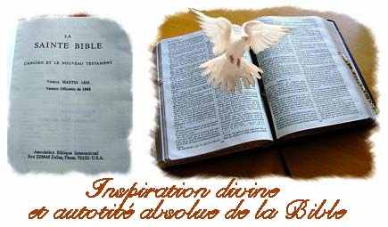 bible_autorité-colombe.jpg