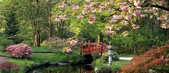 dupre-latour-paysagiste-jardin-japonais-drome.jpg