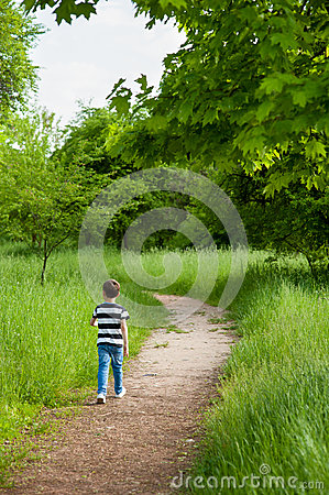 l-enfant-chemin-choix-garon-promenade-seule-vont-se-garent-fort-dcouverte-les-explorent-badinent-73210653.jpg