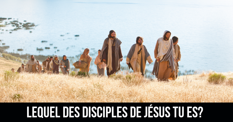 which_jesus_disciples_aj_carat_fr.png