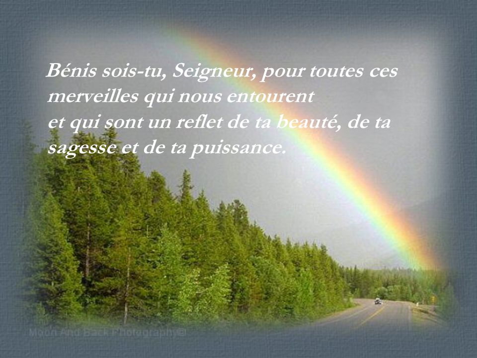 Bénis+sois-tu+Seigneur+pour+toutes+ces+merveilles+qui+nous+entourent+et+qui+sont+un+reflet+de+ta+beauté+de+ta+sagesse+et+de+ta+puissance..jpg