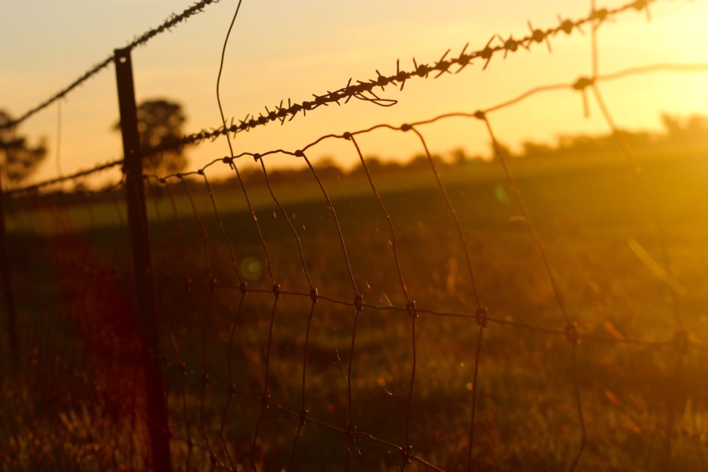 barbed-wire-fence-wire-mesh-110649-1024x683