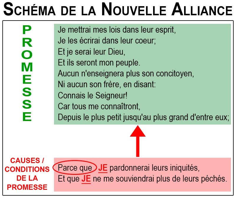 ob_6c5233_schema-nouvelle-alliance