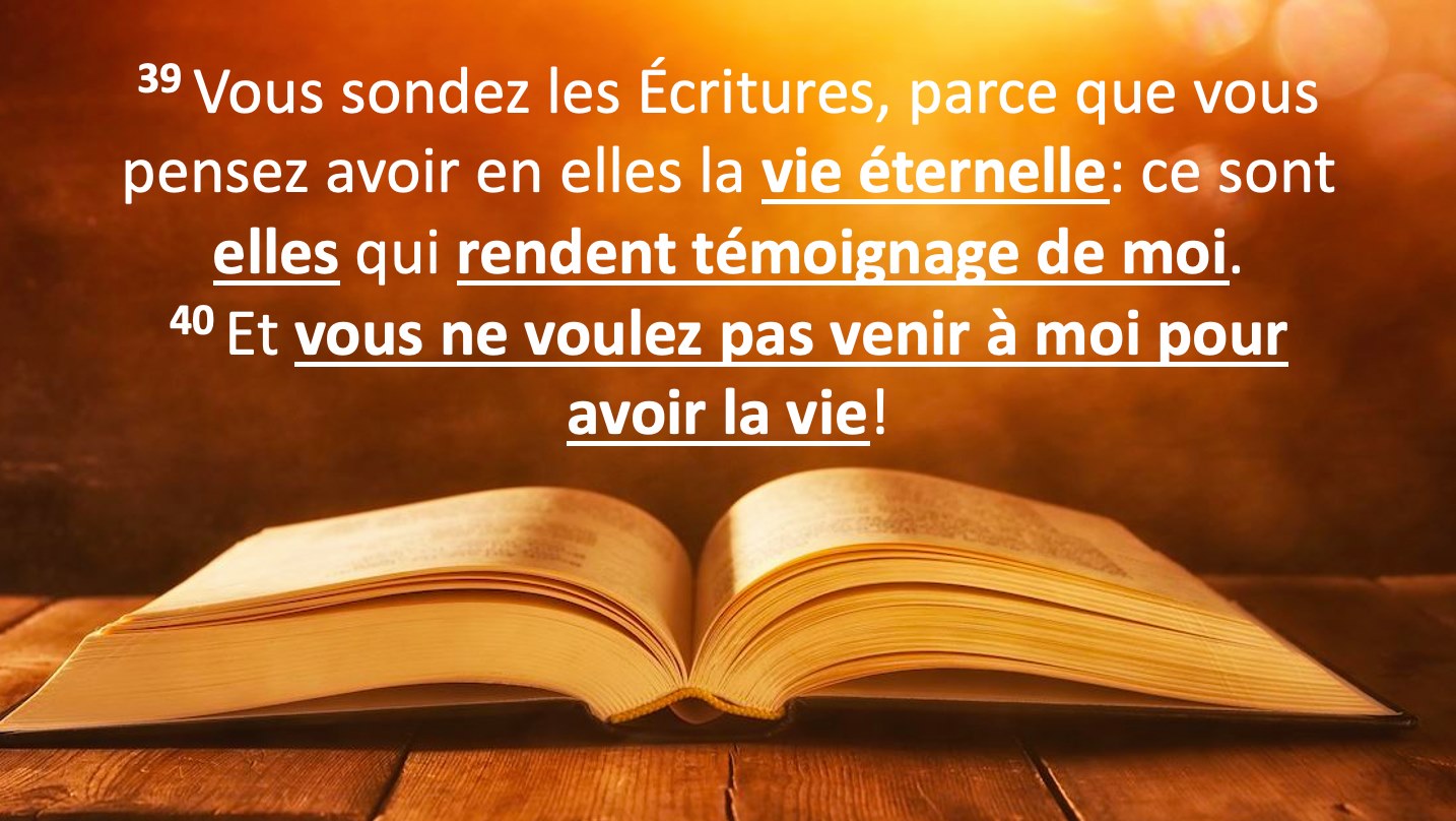 vous-sondez-les-ecritures-parce-que-vous-pensez-avoir-en-elles-la-vie-eternelle-ce-sont-elles-qui-rendent-temoignage-de-moi-jean-539