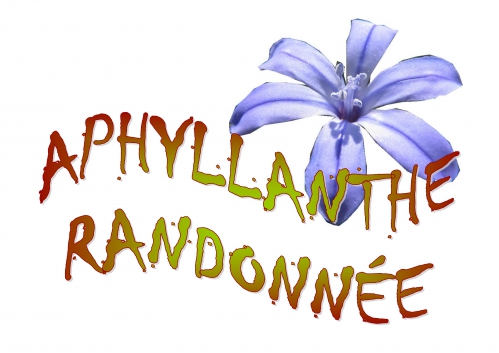 Logo APHYLLANTHE RANDONNEE JPG.jpg