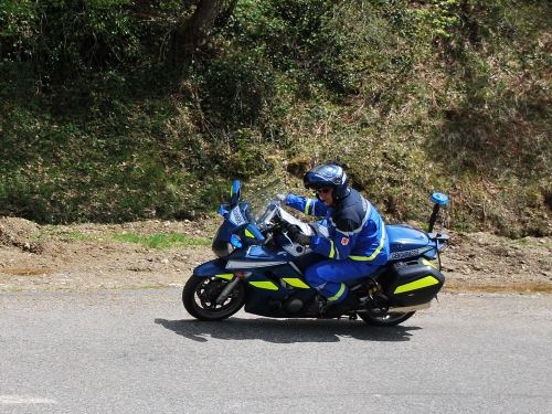 CSC_0095.JPG