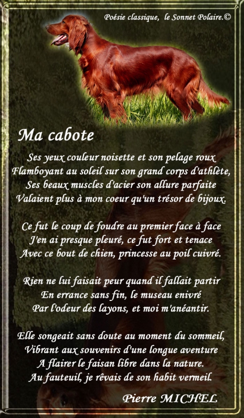 119_SONNET-POLAIRE_Ma-Cabot.jpg