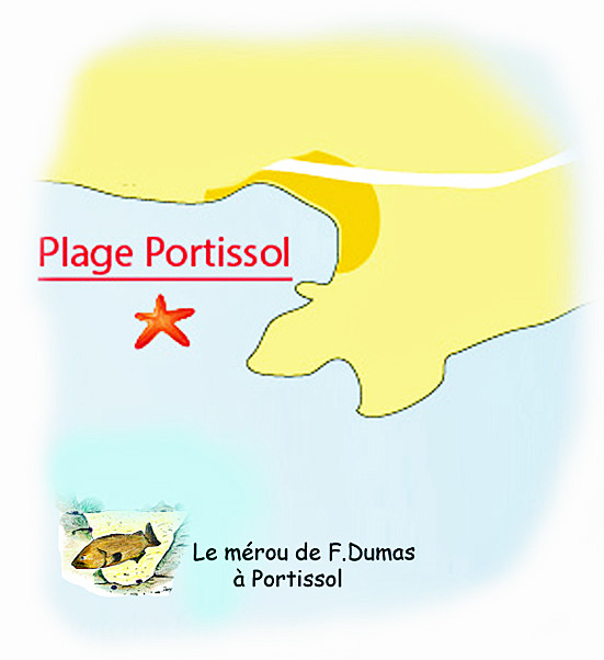 2. mérou plage PTI.jpg