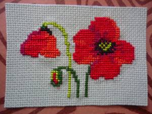 !!!!!! 13AOUT MADY F Coquelicots.jpg
