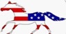 cheval_de_drapeau_americain.jpg