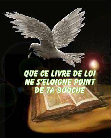 QUE CE LIVRE COLOMBE ET BIBLE.jpg