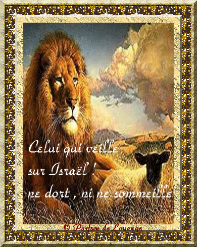 Lion biblique.gif