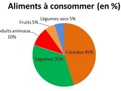 ob_8bacc374ecff5bced9d558ffc0c73207_graphique-alimentaire.JPG