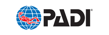 Padi_Logo_Transparent.png