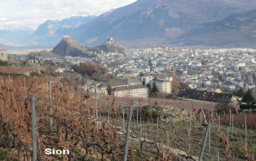 Vue sur Sion nov.jpg