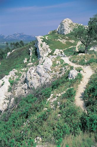 alpilles.jpg