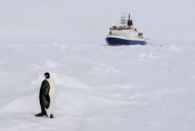 antartique.jpg
