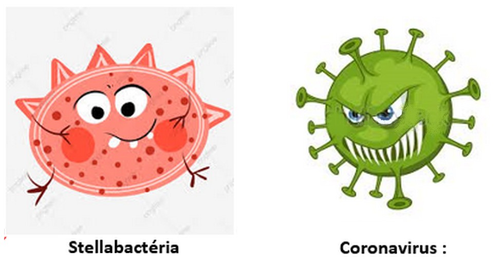 corronavirus.JPG
