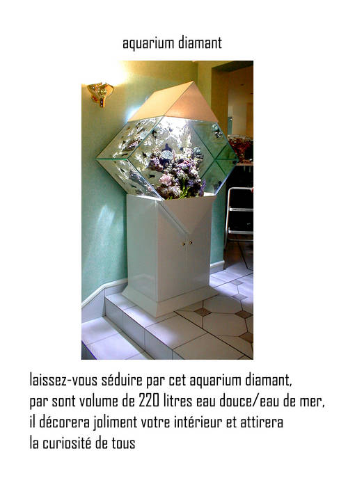 Aquarium diamant 220 litres.jpg