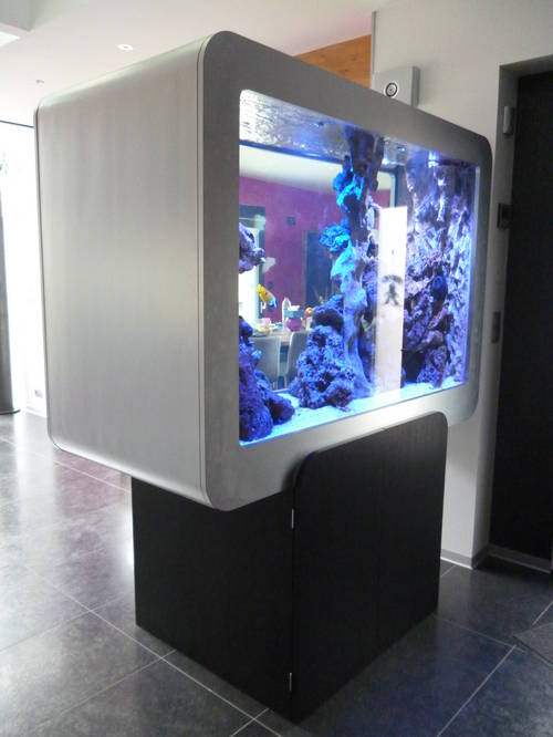 Aquarium Odyssee 3.JPG