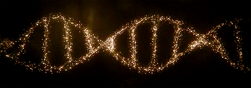 dna-rna-chromosomes-double-helix-rotating-animated-gif-9.gif