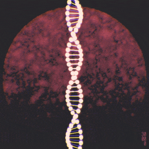 dna-rna-chromosomes-double-helix-rotating-animated-gif-3.gif