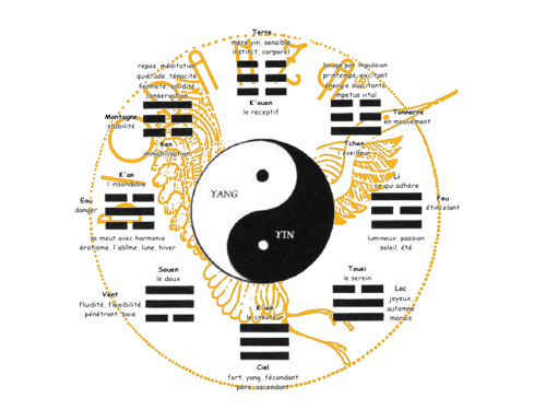 yinyang.png