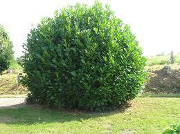 images 2.jpg