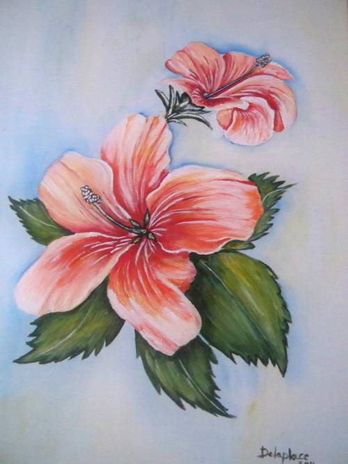 Hibiscus - acrylique sur toile 40x50 26112011.JPG