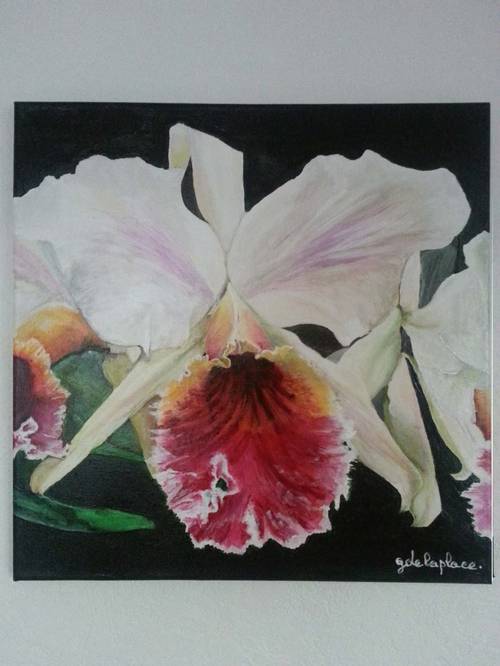 cattleya-rex-acrylique-sur-toile-40x40-22042013.jpg