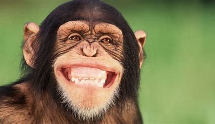 2-sourire.jpg