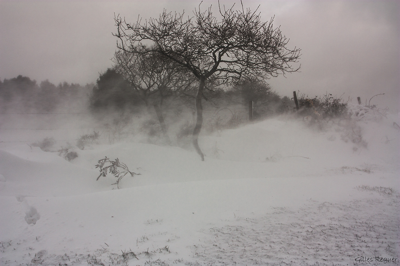 tempête.jpg