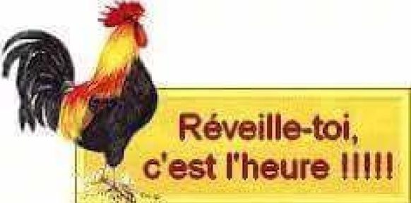 Le chant du coq.jpg