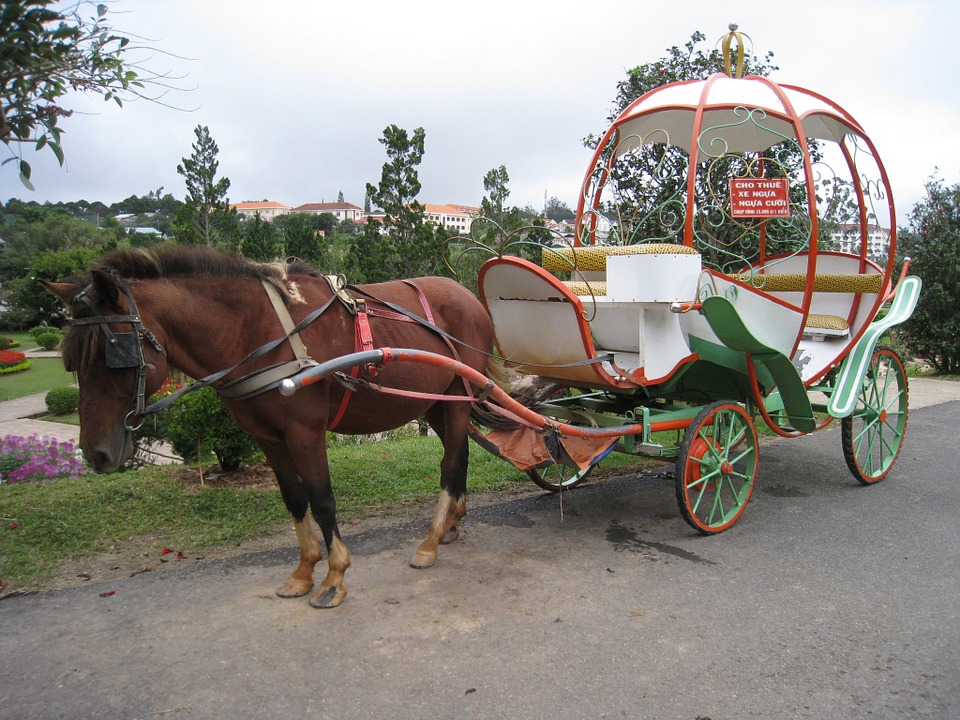 voiture à traction hippomobile.jpg