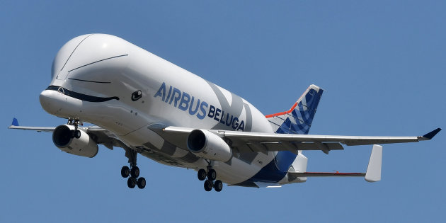 avion beluga.jpg