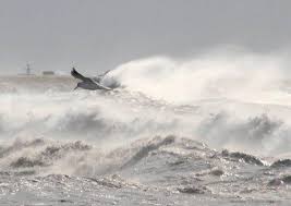 tempête de vent.jpg