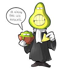 Avocat.jpg